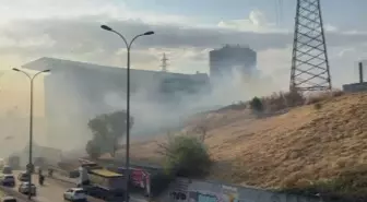 Esenyurt'ta Otluk Alanda Yangın