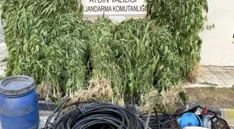 Aydın'da Uyuşturucu Operasyonu: 17 Şüpheli Yakalandı