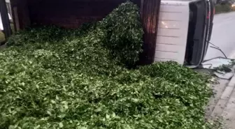 Trabzon'da Çay Yüklü Kamyon Devrildi, 2 Yaralı