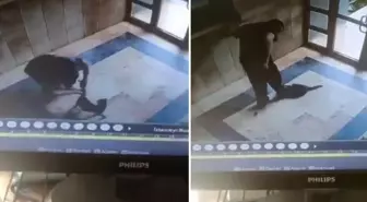 Kediyi vahşice öldüren caninin ifadesi ortaya çıktı: Onu can düşmanım gibi gördüm