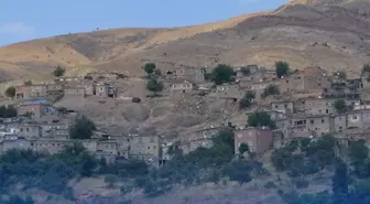 Köyü istila ettiler! Bir ısırığı hayattan koparıyor
