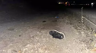 Yozgat'ta Traktör Kazası: Genç Sürücü Hayatını Kaybetti