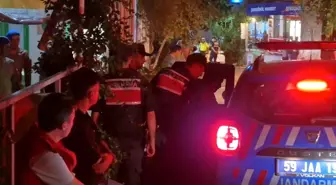 Tekirdağ'da Orman Yangını: 1 Kişi Gözaltında