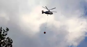 Tekirdağ'da Orman Yangını Kontrol Altına Alındı