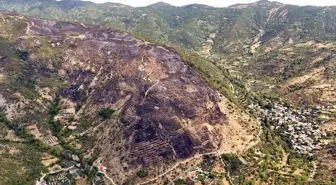 Şarköy'de Yangınla İlgili Şüpheli Serbest Bırakıldı