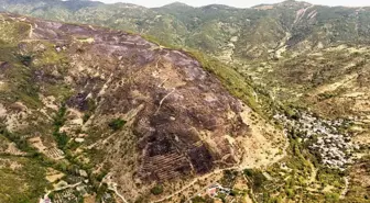 Tekirdağ'daki Orman Yangını Havadan Görüntülendi