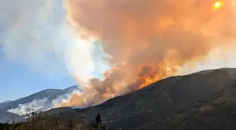 British Columbia'da 137 Aktif Orman Yangını