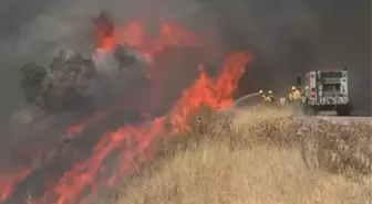 California'daki Orman Yangını 12 Bin Hektarı Alev Alev Yaktı