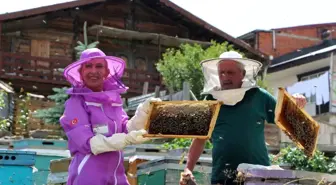 Anzer Balında Rekor Sağım İşlemleri Başladı
