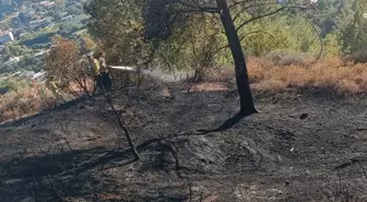 Hatay'da Orman Yangını Büyümeden Söndürüldü