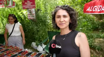 Erzincan'ın Organik Çilek ve Böğürtleni Aşırı Sıcaklarda Tercih Ediliyor