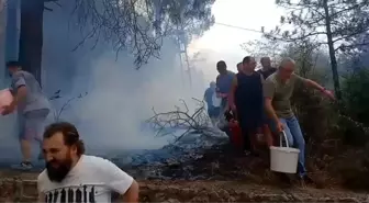 İzmit'te Orman Yangınına Mahalleli Müdahale Etti