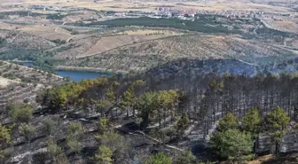 Ormancılar Derneğinden Orman Yangınları Açıklaması