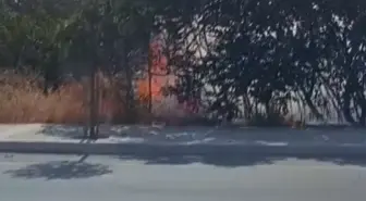 Silivri'de Otluk Alanda Yangın Çıktı