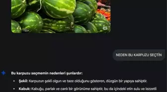 Esnaf, Yapay Zekanın Karpuz Seçiminde Yanıldığına İnanıyor