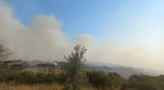 Balıkesir Bigadiç'te Tarım Arazisinde Yangın Çıktı