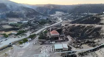 Çanakkale'de Orman Yangınına Sebep Olan Şahıslar Serbest Bırakıldı