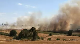 Çanakkale Biga'da Tarım Arazisinde Yangın Çıktı