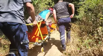 Yalova'da Dağlık Alanda Rahatsızlanan Kadına Kurtarma Operasyonu