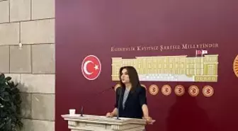 DEM Partisi, TBMM'de Kurulacak Komisyon İçin 'Demokrasi' Vurgusu Yaptı