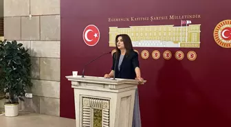 DEM Partisi, TBMM'de Kurulacak Komisyon İçin 'Demokrasi' Vurgusu Yaptı