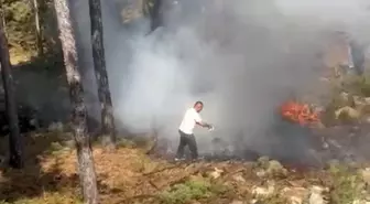 Bursa'da Yangın Duyarlı Vatandaşların Müdahalesiyle Kontrol Altına Alındı