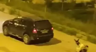 Eşeği Sürükleyen Sürücüye Ceza Kesildi
