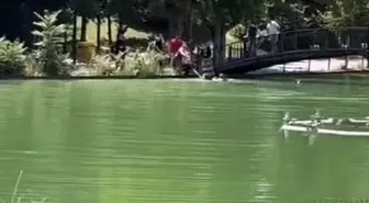 Muş'ta Gölete Düşen Çocuk, Vatandaşların Müdahalesiyle Kurtarıldı