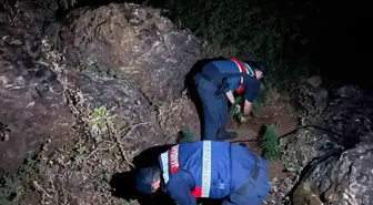 Manisa'da Uyuşturucu Operasyonu: 167 Kök Kenevir Ele Geçirildi