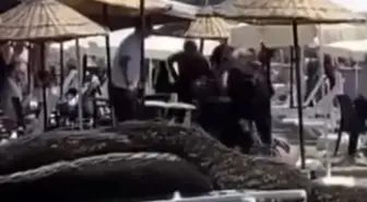 Halk plajında şezlong kavgası: Zabıta ile para toplayanlar arasında arbede