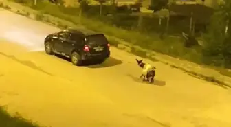 Kars'ta eşeği arabaya bağlayıp, zorla sürükleyerek götürdüler
