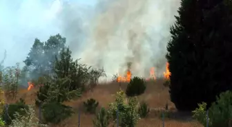 Kırklareli'nde Anız Yangını Ağaçlık Alana Sıçradı, Avrupa Otoyolu Kapandı