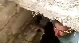Adıyaman'da Eski Lağım Kuyusuna Düşen Yavru Köpekler Kurtarıldı