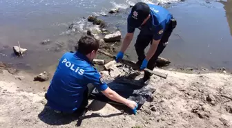 Edirne'de Kuraklık Sonrası Tarihi Tüfek Bulundu