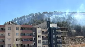 Şanlıurfa'da Ağaçlık Alanda Yangın Kontrol Altına Alındı