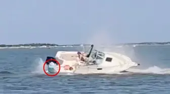 Şiddetli bir şekilde tekneye çarpan balina feci şekilde can verdi