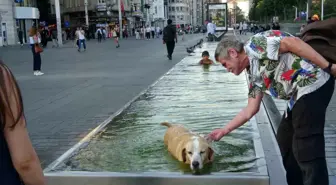 İstanbul'da Sıcak Hava, Çocuk ve Köpeği Süs Havuzuna Daldırdı