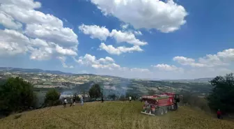 Manisa'da Tütün Tarlasında Yangın: 3 Dönüm Alan Zarar Gördü