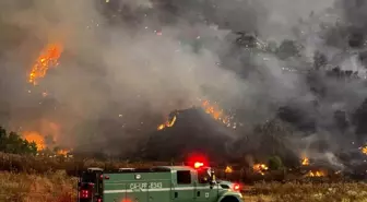 California'daki Orman Yangını 72 Bin Dönüm Alanı Küle Çevirdi