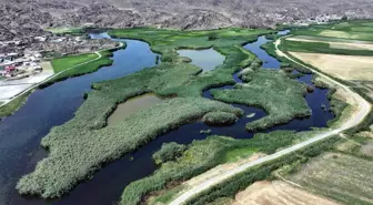 Ağrı Dağı Eteklerindeki Sulak Alanlar Kuş Gözlem Turizmine Kazandırılıyor
