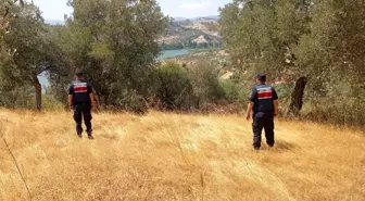 Aydın'da Orman Yangınlarına Karşı Jandarma Denetimleri Sürekli Devam Ediyor