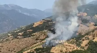 Aydın'da Tarım Arazisinde Yangın Çıktı
