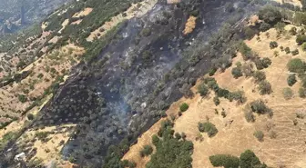 Aydın'da Tarım Arazisinde Yangın Kontrol Altına Alındı