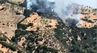 Aydın'da Zirai Alanda Yangın Söndürme Çalışmaları Devam Ediyor