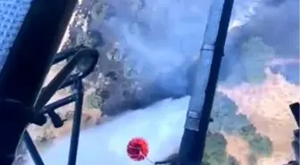 Aydın'da Zirai Alanda Yangın Kontrol Altına Alındı