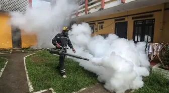 Çin'de 7 binden fazla 'chikungunya' virüsü vakası tespit edildi