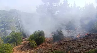 Denizli'de Orman Yangınına Havadan Müdahele