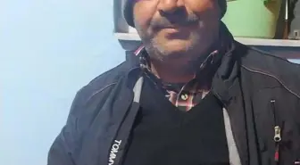 Yola Çıkan Domuz Sürüsüne Çarpan Motosiklet Sürücüsü Hayatını Kaybetti
