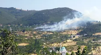 Geyve'deki Ot Yangını Kontrol Altına Alındı