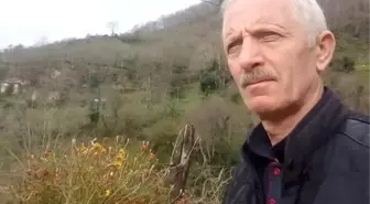 Bahçesinde Armut Toplarken Düşen Adam Hayatını Kaybetti